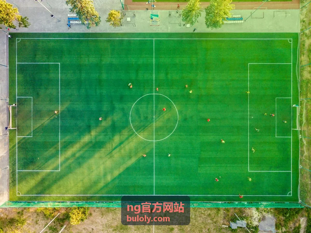 ng官方网站内容条目配图
