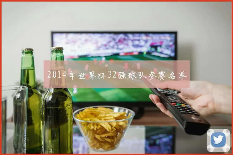 2014年世界杯32强球队参赛名单