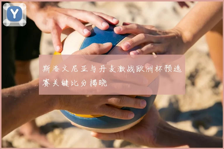 斯洛文尼亚与丹麦激战欧洲杯预选赛关键比分揭晓