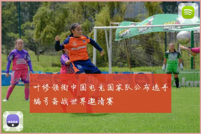 叶修领衔中国电竞国家队公布选手编号备战世界邀请赛