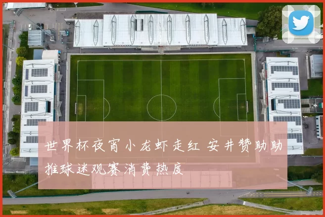 世界杯夜宵小龙虾走红 安井赞助助推球迷观赛消费热度